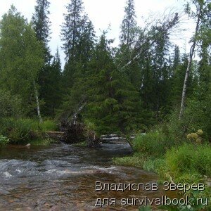 Завал на реке Вильва (вид сзади).