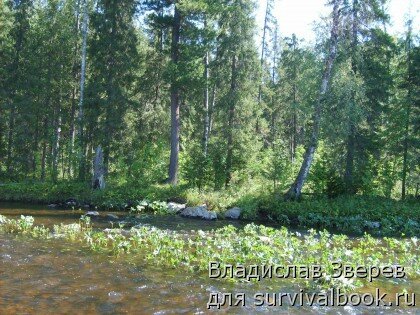 В жаркие дни вода в реке быстро убывает