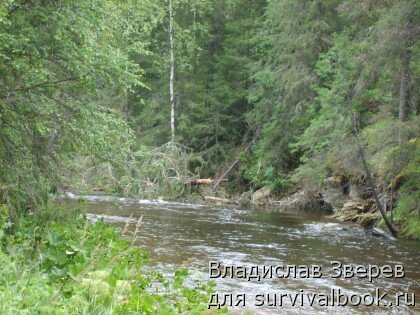 Завал на реке Хмели в районе 2-й стоянки (вид сзади)