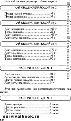 Кухня Робинзона: 200 малоизвестных съедобных растений, 400 рецептов блюд и напитков из них. Отрывок #6