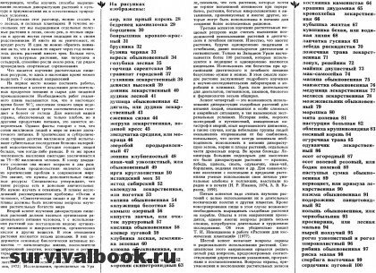 Дикорастущие съедобные растения в нашем питании. Отрывок #2